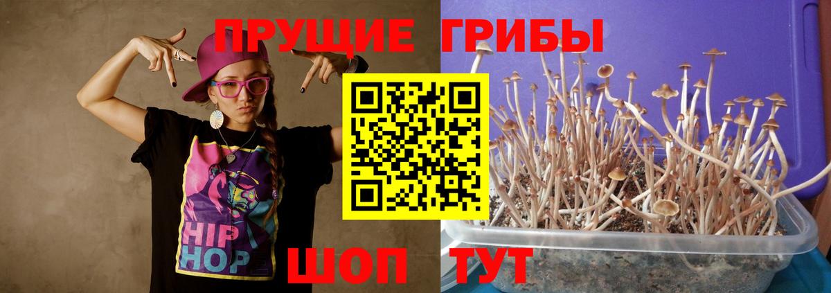 Галлюциногенные грибы GOLDEN TEACHER Свободный